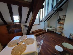 Fotografia z galérie ubytovania Magnifique Appartement Beaux arts v destinácii Tours