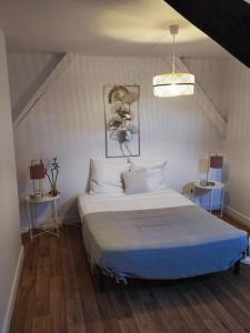 een slaapkamer met een bed en 2 tafels met lampen bij Magnifique Appartement Beaux arts in Tours