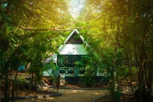 a tree house in the middle of a forest at La La Land Resort Goa by Spicy Mango in Palolem