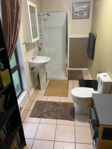een badkamer met een toilet, een wastafel en een douche bij Charity Creek Retreat in Mount George
