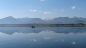 a bird sitting in the middle of a lake at Amis apartmán 2 in Liptovský Trnovec