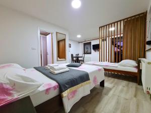 1 Schlafzimmer mit 2 Betten und einem Spiegel in der Unterkunft Apartmani Tarsko Jezero in Zaovine