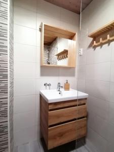 a bathroom with a sink and a glass shower at Apartments & Rooms Smučka in Kranjska Gora