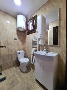 a bathroom with a toilet and a sink and a mirror at Apartmani Tarsko Jezero in Zaovine