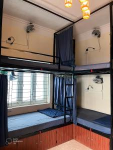 two bunk beds in a room with a window at Cat Ba Sweet Potato Homestay in Cat Ba