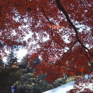 Fotografie z fotogalerie ubytování Kyukamura Setouchi-Toyo v destinaci Saijo
