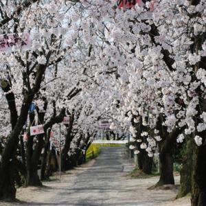 Zahrada ubytování Kyukamura Setouchi-Toyo