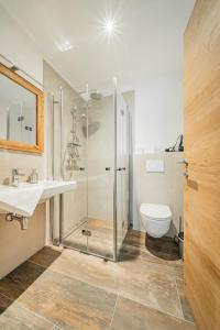 a bathroom with a glass shower and a toilet at Dachstein West Apartment 1B in Russbach am Pass Gschütt