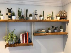 een rij houten planken met planten en boeken bij The Beetroot in Margate