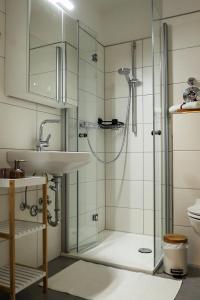 ein Bad mit einem Waschbecken und einer Dusche in der Unterkunft Apartment Serenade am Zwinger in Goslar