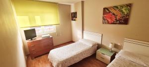 a small bedroom with two beds and a television at www apartamentovaldivia es Parking incluido in León