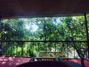 stół na balkonie z widokiem na drzewa w obiekcie Samyama Retreat w mieście Cola