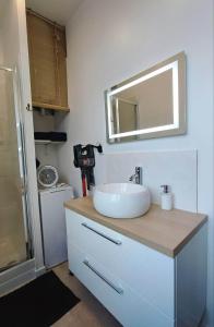 阿爾貝的住宿－Le Relax，浴室设有水槽和镜子,位于柜台上