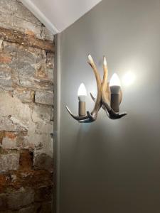a wall mounted light with antlers on a wall at ‘The Retreat” at the Rose @ Crown 