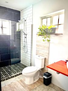 a bathroom with a toilet and a shower at La Casita Torres in Oranjestad