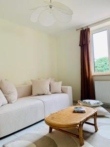 Sala de estar con sofá blanco y mesa de centro en Appartements Le Tilleul de la Vallée Noble, en Westhalten