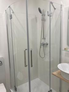 a shower with a glass door next to a sink at Ubytování Na špejcharu, Želevčice in Slaný +26 photos