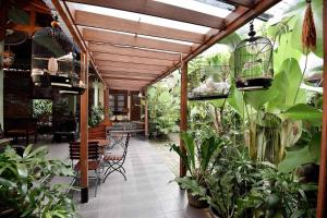 una stanza piena di piante di Ndalem Maharani Guest House a Yogyakarta