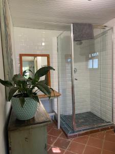 a bathroom with a shower with a plant on a table at Yellowwoods Farm - POOL COTTAGE (self-catering) in Curryʼs Post