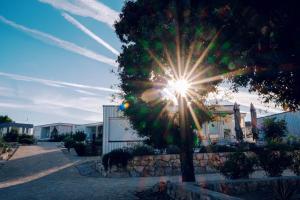 eine Sonne, die durch einen Baum vor einem Gebäude scheint in der Unterkunft Buqez resort Drage, villa Vita 50 in Pakoštane