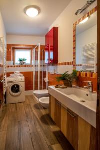 a bathroom with a sink and a washing machine at Appartamento Abete in Livigno