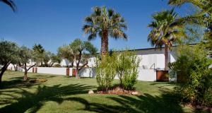 einen Hof mit Palmen und einem Gebäude in der Unterkunft Parador de Ayamonte in Ayamonte