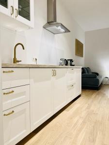 A kitchen or kitchenette at Modern Style City Apartments