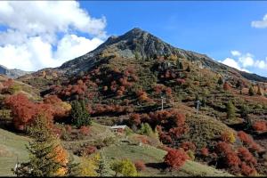 a mountain with fall trees on it at Snowliday - Appartement Rénové en résidence 4* pour 4 pers. Valmeinier 1900 in Valmeinier