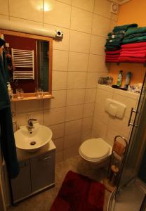 a bathroom with a toilet and a sink at Kleine Wohngelegenheit am Stadtrand von Chemnitz in Chemnitz