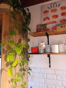 a wall with shelves and a plant in a room at "Stone's throw" KRUMLOV 5 min by car, LIPNO 15 min by car, 2 bdrooms,playroom in Kájov