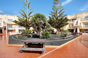 a picnic table in a courtyard with palm trees at Sol y Mar Caleta de Fuste in Caleta De Fuste