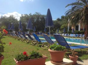 Bazén v ubytování Perros Hotel nebo v jeho okolí