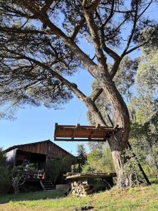 a tree with a structure on it next to a house at Pine Lodge - direct train to Porto in Valongo