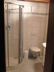 霍爾茨高的住宿－Haus Lärchenhof，带淋浴和卫生间的浴室