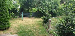 a garden with a hammock in the grass at Möblierte Wohnung auf Zeit in Mühlhausen