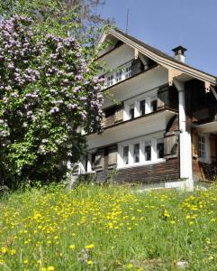 une maison sur une colline avec un champ de fleurs dans l'établissement Berghüsli Heiterswil, à Wattwil