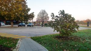 Foto dalla galleria di Motel Krnjevo a Krnjevo