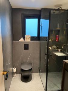 a bathroom with a toilet and a shower and a sink at יחידת דיור סביון2 in Savyon