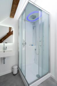 a glass shower in a bathroom with a sink at B&B aan de Koningsmuur in Dieren