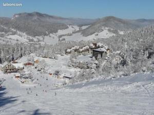 Nacrt objekta Chalet Corrençon-en-Vercors, 2 pièces, 6 personnes - FR-1-515-55