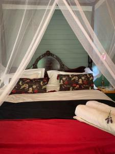 1 dormitorio con 1 cama con dosel en In De Vines - Chenin - Farmstay, en Worcester