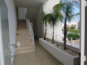 einen Flur mit Treppen und Palmen in einem Haus in der Unterkunft Bellini Luxor - ApartHotel in Molfetta