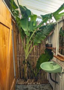 a bathroom with a green sink and a banana tree at Vietnam Surf Camp in Ấp Mỹ Hải