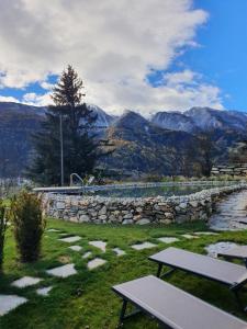 two picnic tables in a field with mountains in the background at Chalet & Appartement Zingerlehof Trens in Campo di Trens
