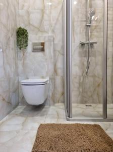 La salle de bains est pourvue d'une douche, de toilettes et d'un tapis. dans l'établissement Neris apartments, à Šiauliai