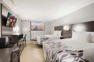 ein Hotelzimmer mit 2 Betten und einem Flachbild-TV in der Unterkunft Red Roof Inn Alexandria, LA in Alexandria