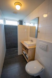 W łazience znajduje się toaleta, umywalka i lustro. w obiekcie De Ruige Hoogte w mieście De Koog