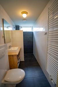 een badkamer met een toilet, een wastafel en een douche bij De Ruige Hoogte in De Koog