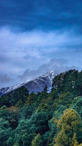 a snow covered mountain in the middle of a forest at Jot Eco Boutique Stays in Dharamshala