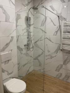 La salle de bains est pourvue d'une douche en verre et de toilettes. dans l'établissement Komfort Apartament, à Nałęczów